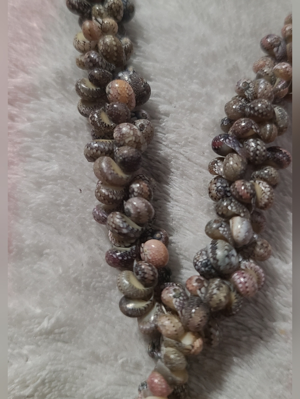 Chunky Shell Statement Necklace - Picture 6 of 9